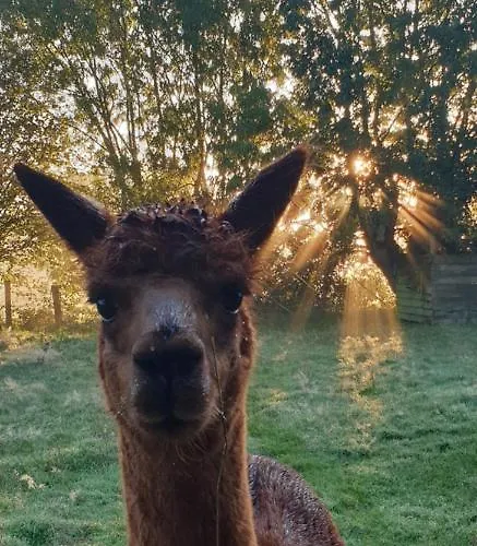 Aux murmures de la nature Honfleur